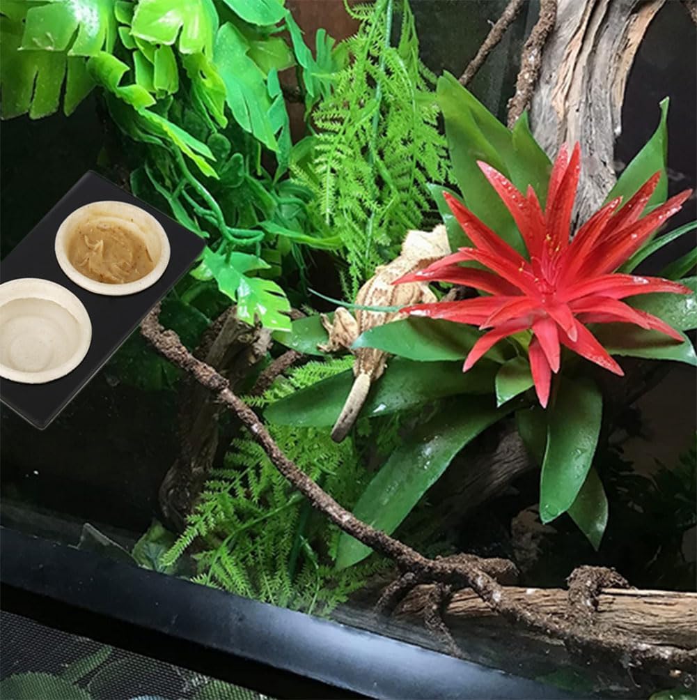 Paper Feeding Cups Samll 0.5 oz Gecko Food and Water Feeding Dish Ledge Accessories Bowls for Crested Gecko Lizards Reptiles Pets (Ledge+20cups) - Happypetzone.online - Image 6