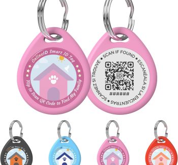 cat id tag personalized