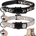 cat collar for kittens