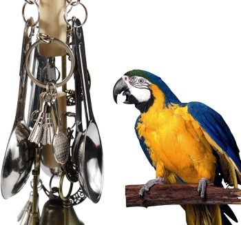 durable bird toys