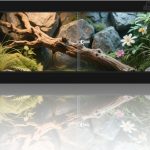 reptile tank with screen top