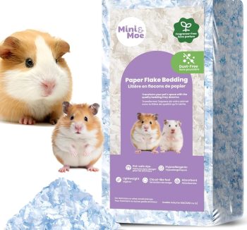 hamster bedding dust free