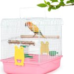 bird cage setup kit