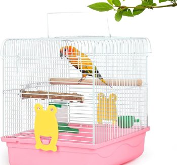bird cage setup kit