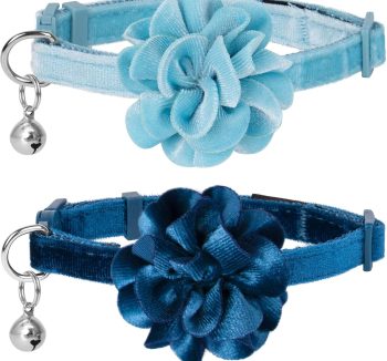 cat collar with bell