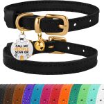 cat collar with name tag