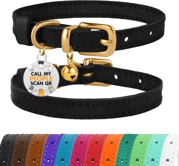 cat collar with name tag
