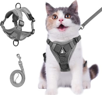 cat leash for walking