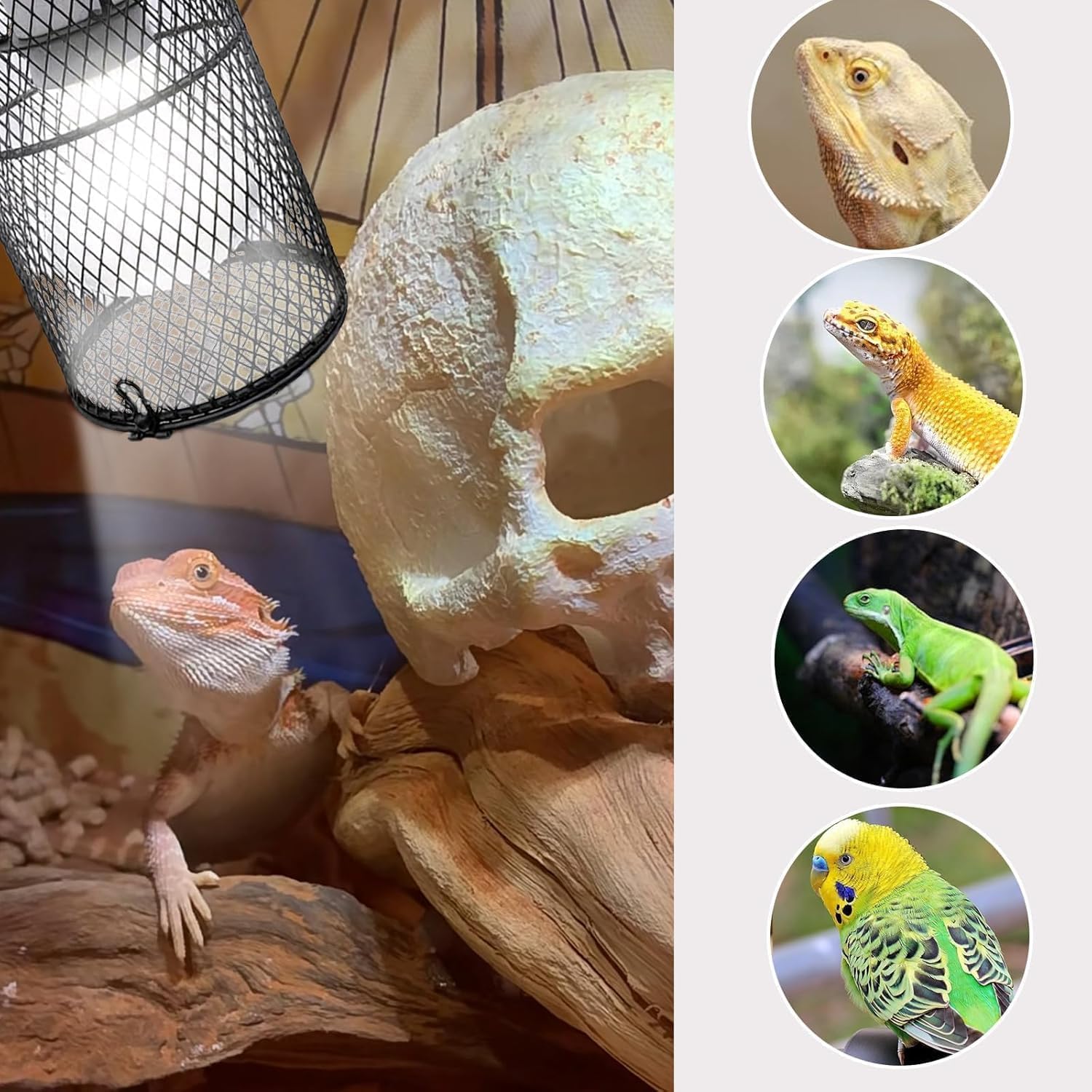Reptile Heat Lamp Guard Ceramic Heat Emitter Basking Heater Lamp Reptile Accessories for Turtle Snakes Lizards Frogs Chicks with Power Switch & Anti-Biting Hanging Hook Design Round Without Bulb 150w - Happypetzone.online - Image 9