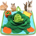 rabbit wellness products