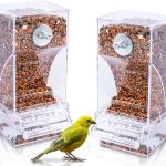 bird food no mess