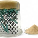 reptile food live