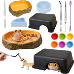 reptile accessories set