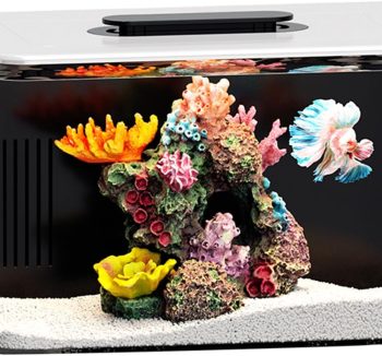 acrylic fish tank
