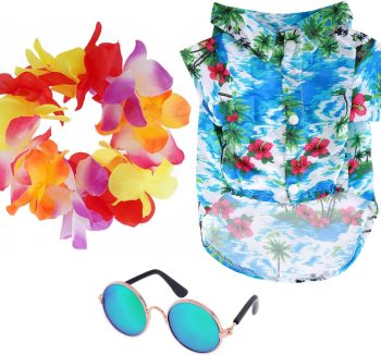 dog outfit summer