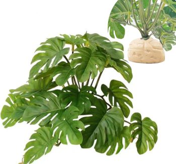reptile plants artificial