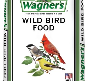 bird seed mix