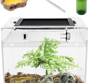 reptile tank starter kit
