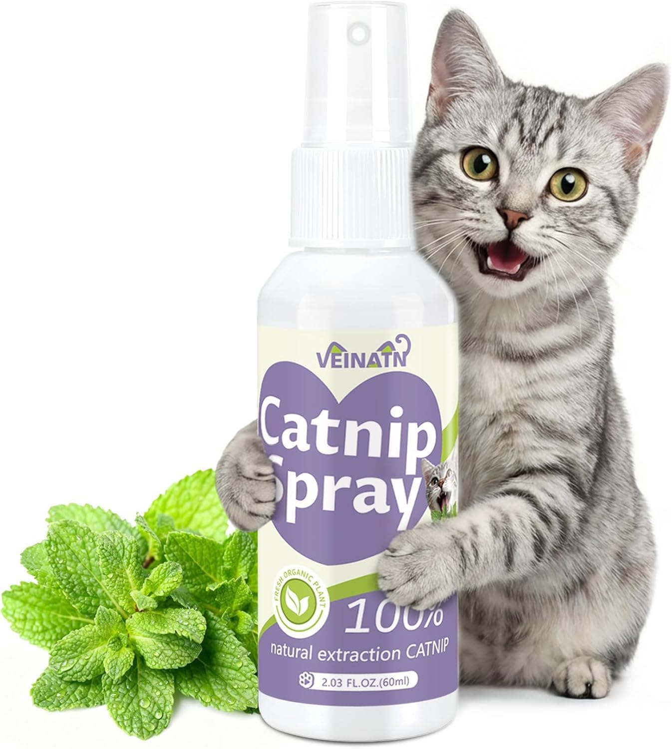 organic cat treats
