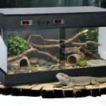 snake tank enclosure