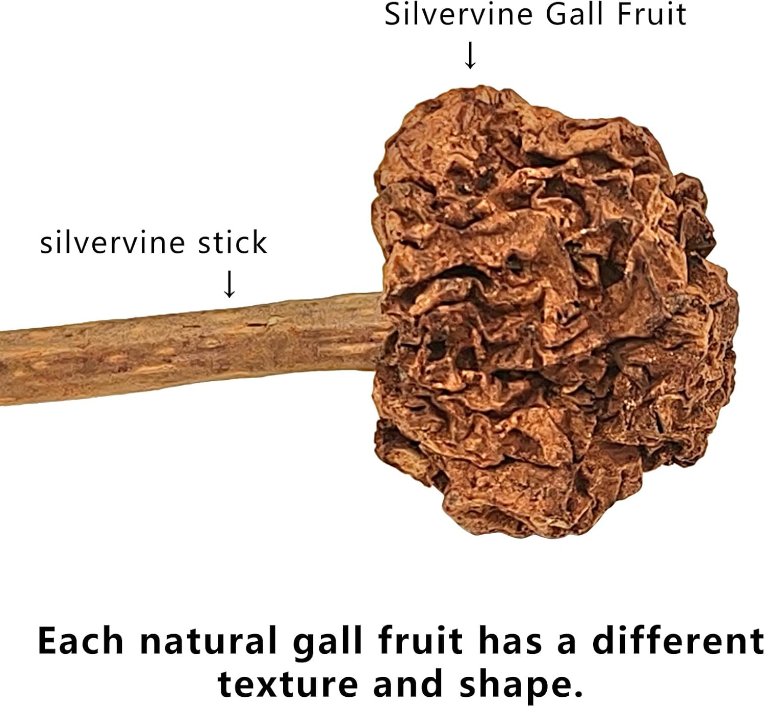 4 PCS Silvervine Stick Cat Toy with Gall Fruit – Natural Lollipop-Shaped Matatabi Chew Toy for Cats – Catnip Alternative for Teeth Cleaning, Anxiety Relief & Interactive Play – 4.8" Cat Dental Toy - Happypetzone.online - Image 2