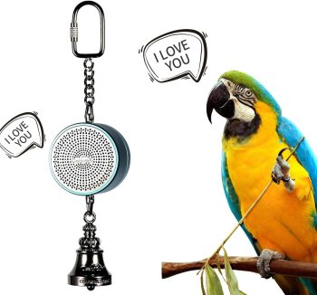 bird toys interactive