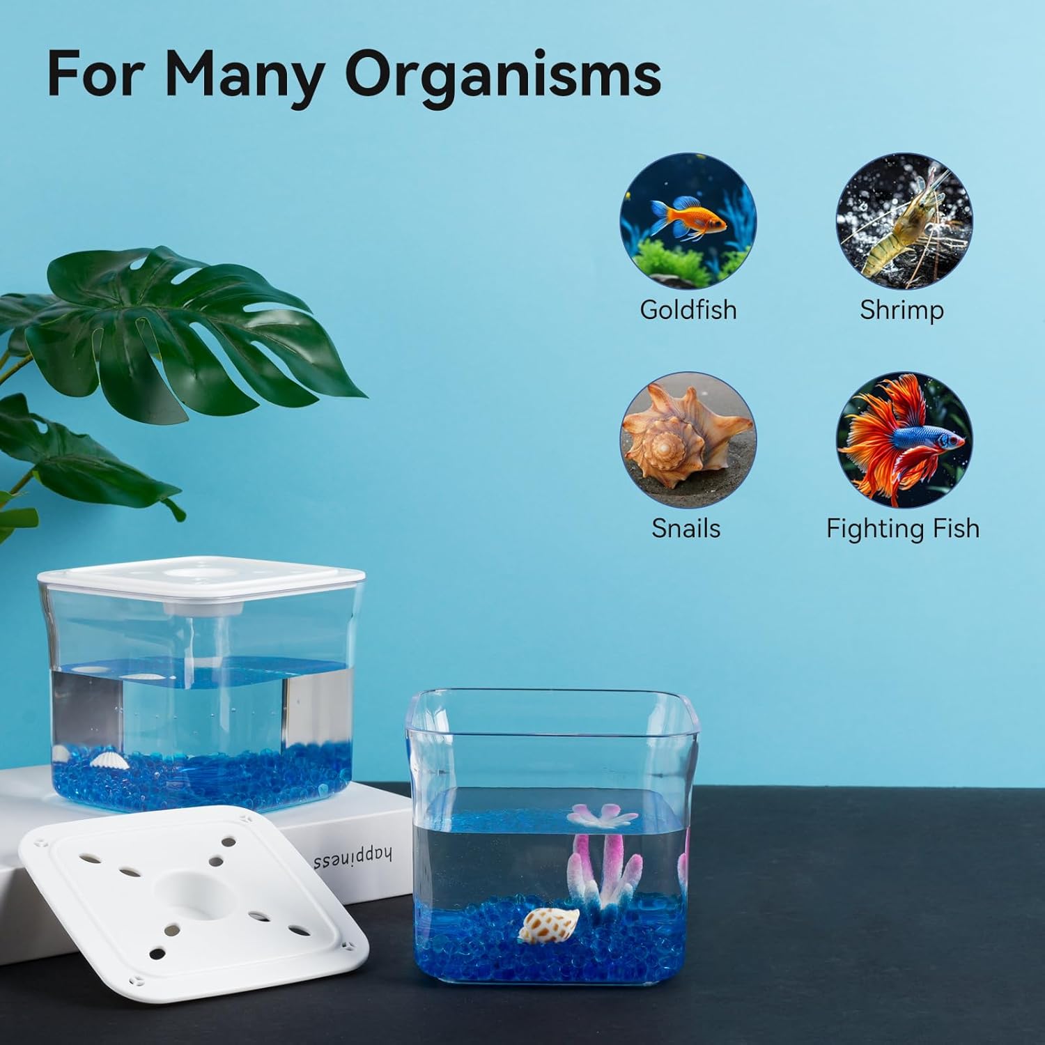 Small Betta Fish Tank - Mini Fish Aquarium Tank for Temporary Space, 0.2 Gallon Stackable Plastic Fish Bowl for Short-Term Use, Desktop Cube Tank for Small Fish, Insect, Shrimp, Crab, Spider - Happypetzone.online - Image 5