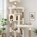 cat tree for multiple cats