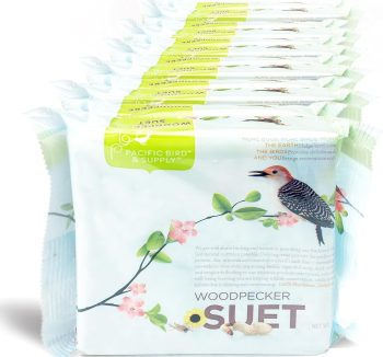 bird food seeds premium