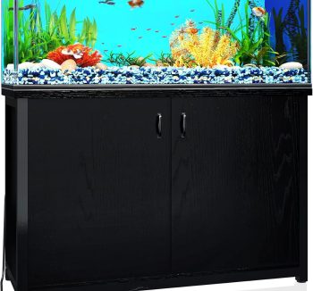 aquarium tank large