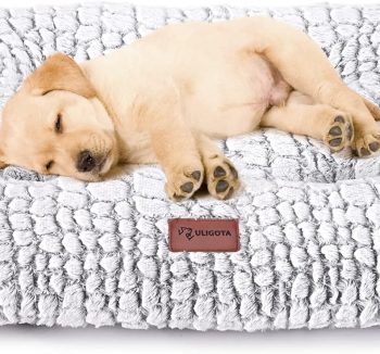dog crate bed soft