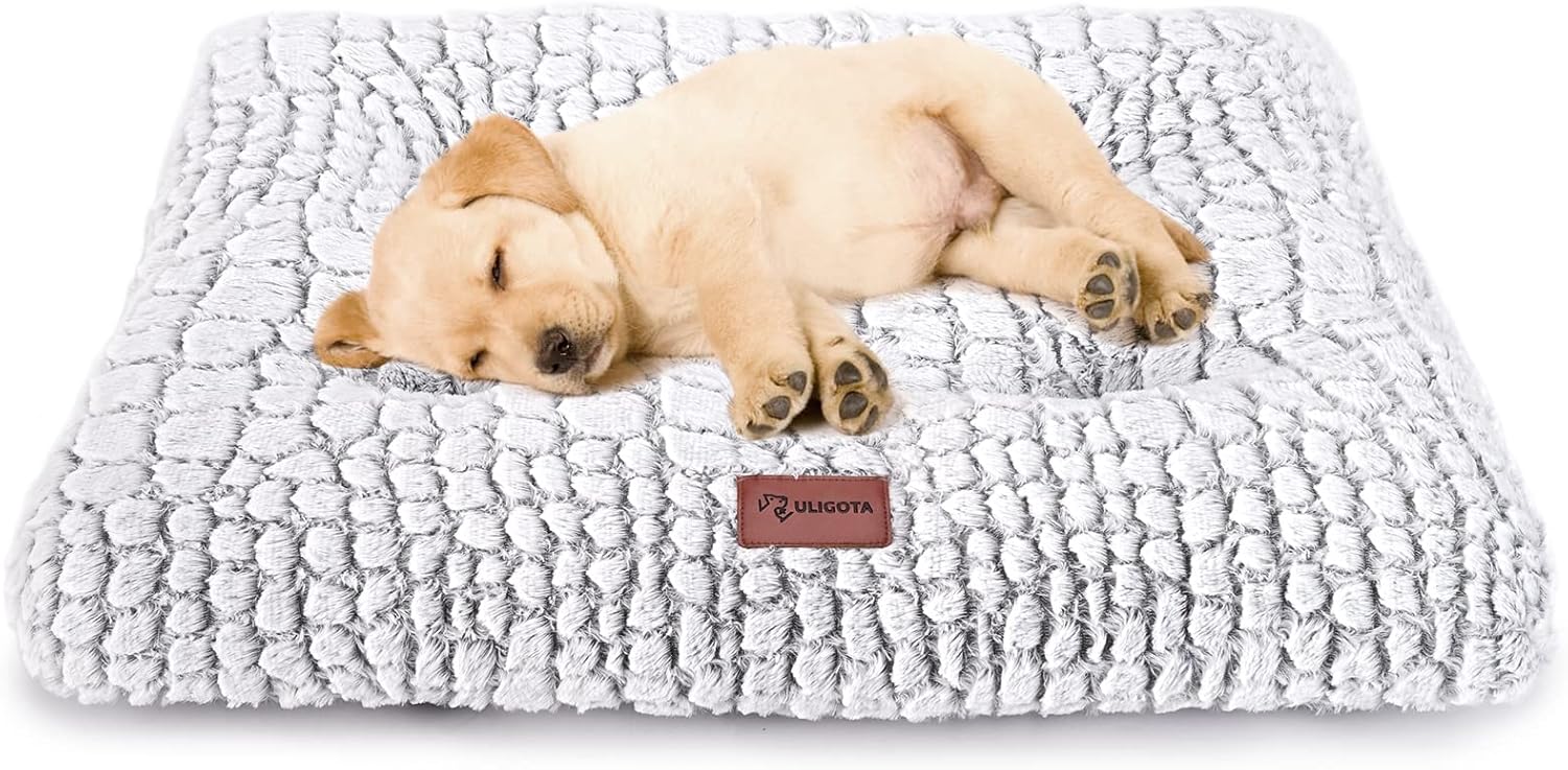 dog crate bed soft