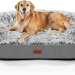 best dog beds