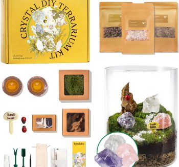 terrarium kit complete