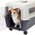 dog travel carrier airline approved