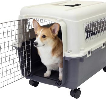 dog travel carrier airline approved