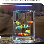 fish tank setup kit