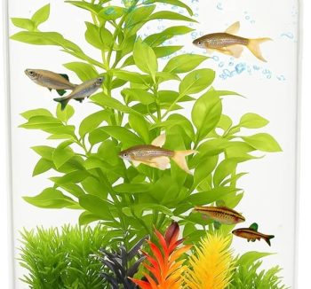 fish tank cheap amazon