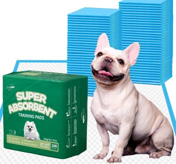 dog potty training pads