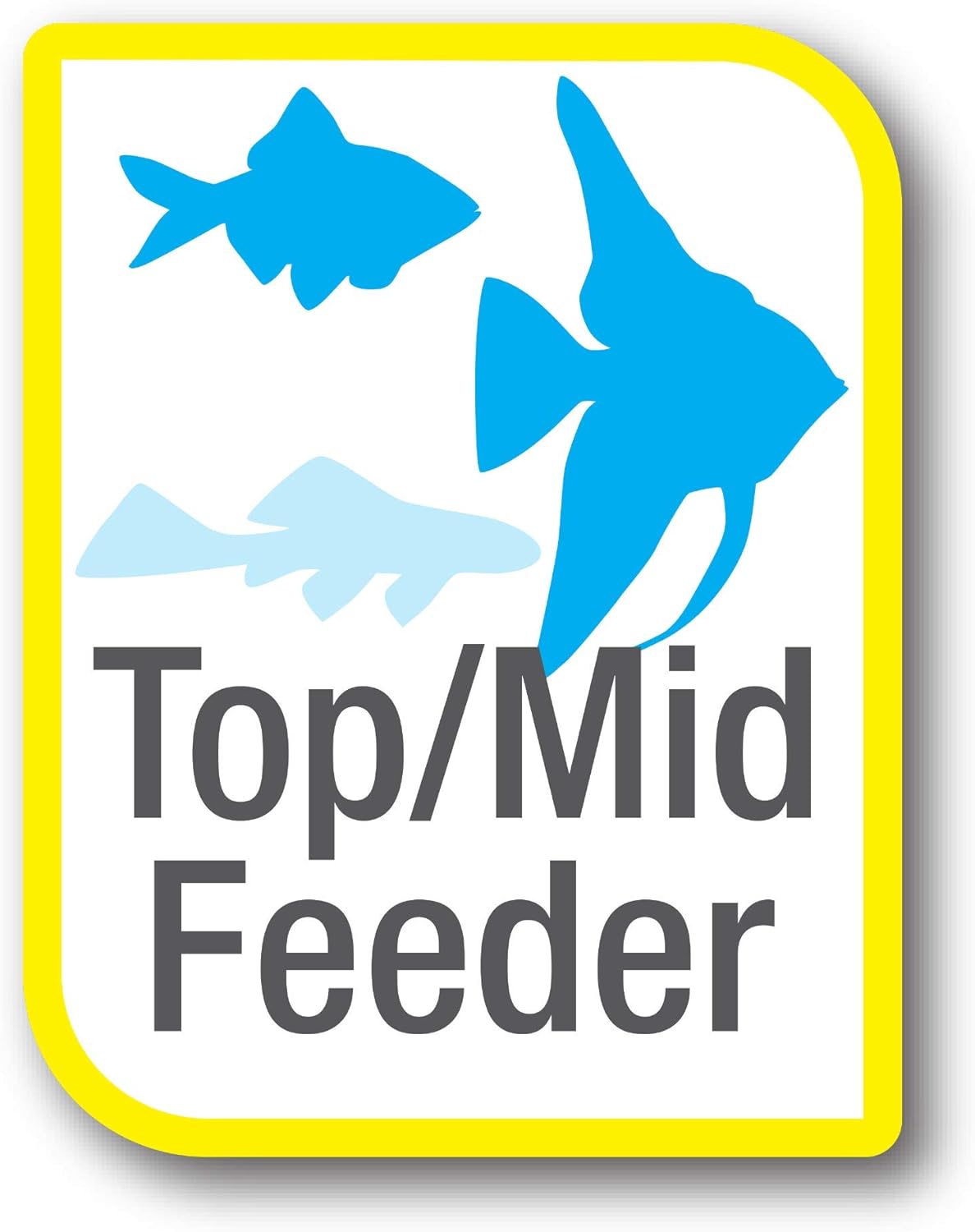 Tetra ColorPlus Fish Food Flakes, Tropical Flakes With Natural Color Enhancers, 7.06 Ounce - Happypetzone.online - Image 4