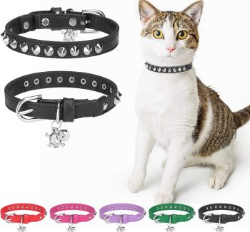 cat collar leather