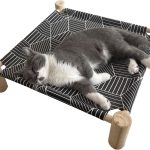 cat resting furniture
