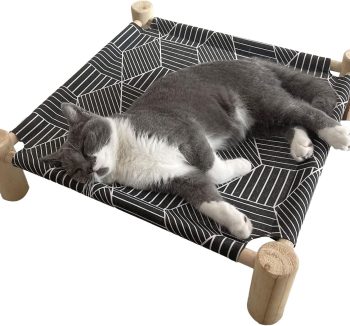 cat resting furniture