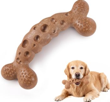dog chew bones safe