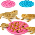 reptile pellets food