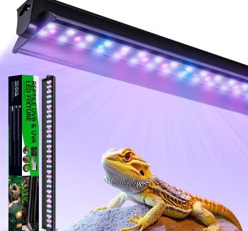 reptile uv lighting full spectrum