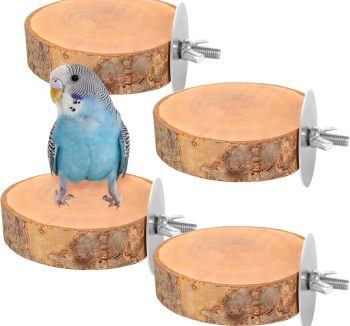 bird perch platform