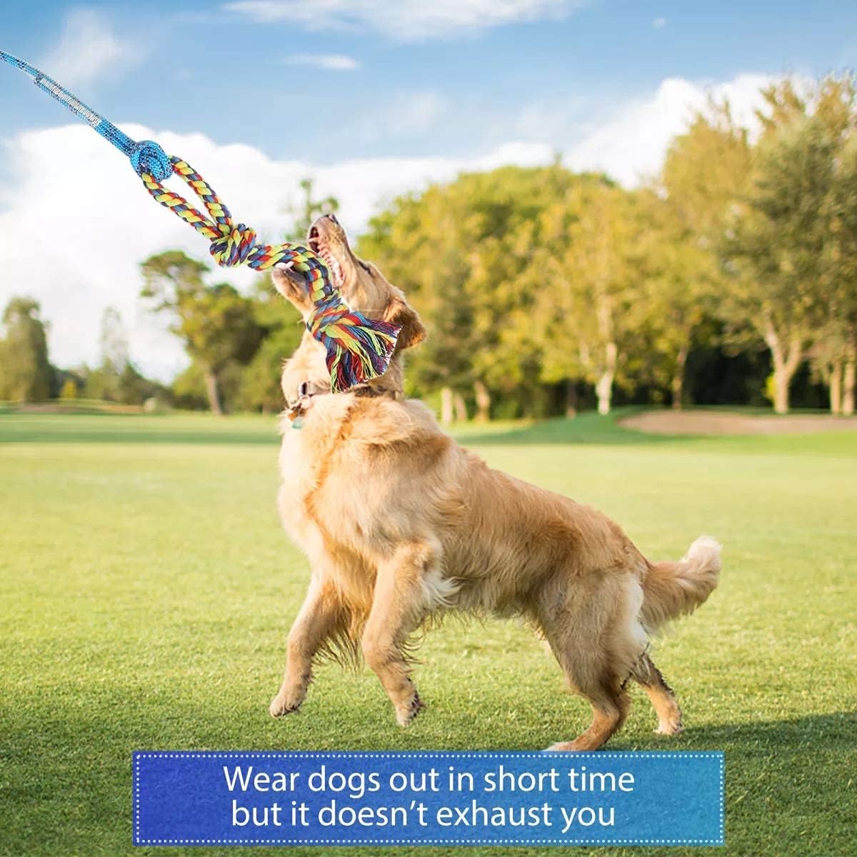 DIBBATU Flirt Pole for Dogs Interactive Dog Toys for Large Medium Small Dogs Chase and Tug of War, Dog Teaser Wand with Lure Chewing Toy for Outdoor Exercise & Training - Happypetzone.online - Image 9