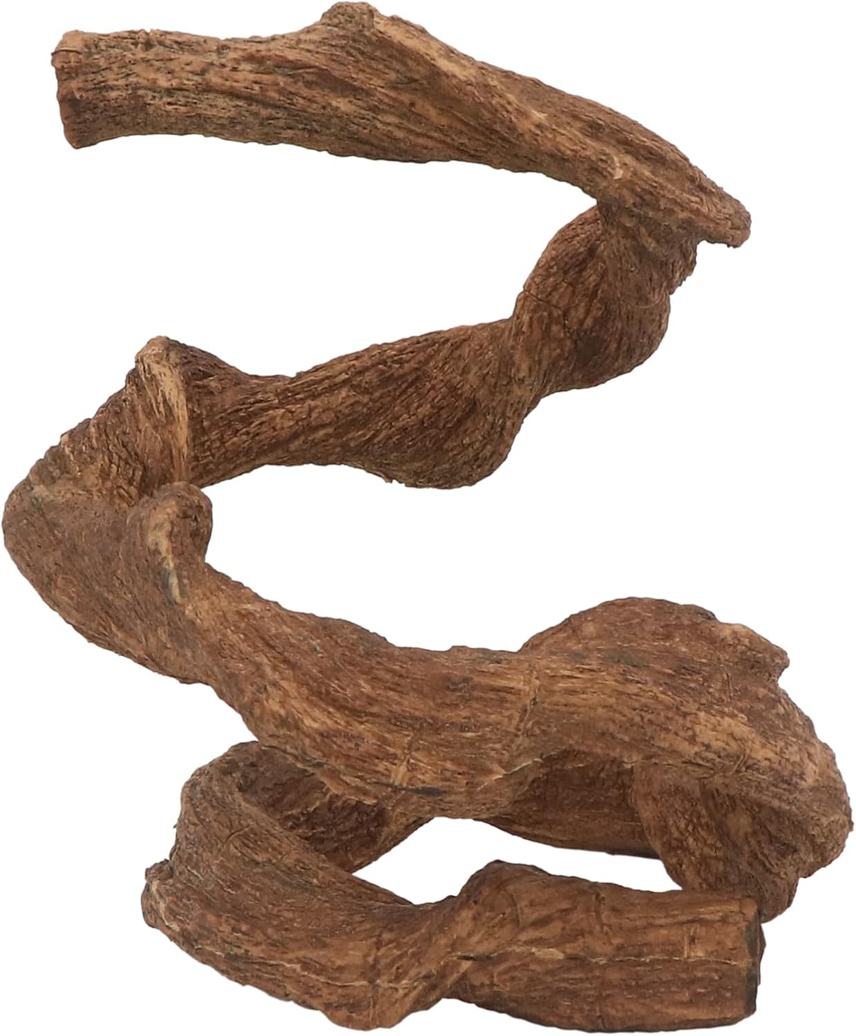 reptile climbing branch