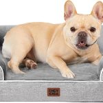 best dog beds